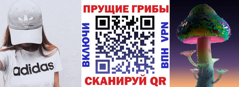 мега tor Ликино-Дулёво Псилоцибиновые грибы мицелий